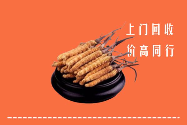 高价求购：枣庄市回收散虫草