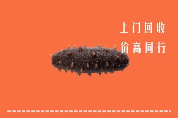 高价求购：枣庄市回收海参