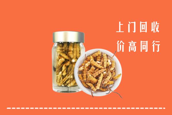 枣庄市回收冬虫夏草