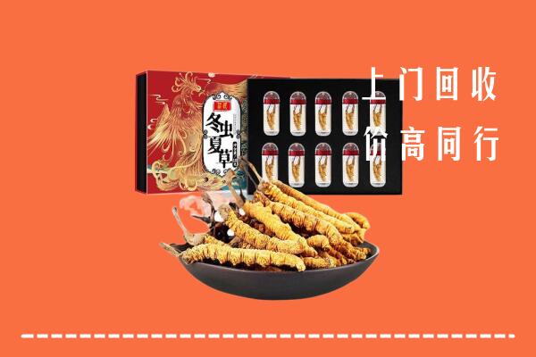 枣庄市回收虫草